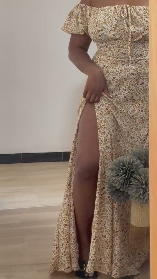 Lani 1.0 Floral Maxi Dress
